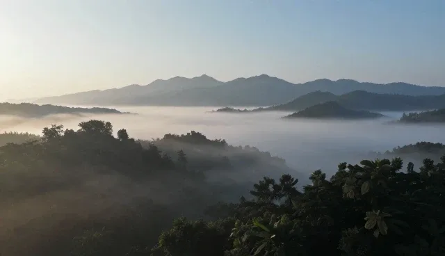 系统集成方案选型中的关键应用场景分析